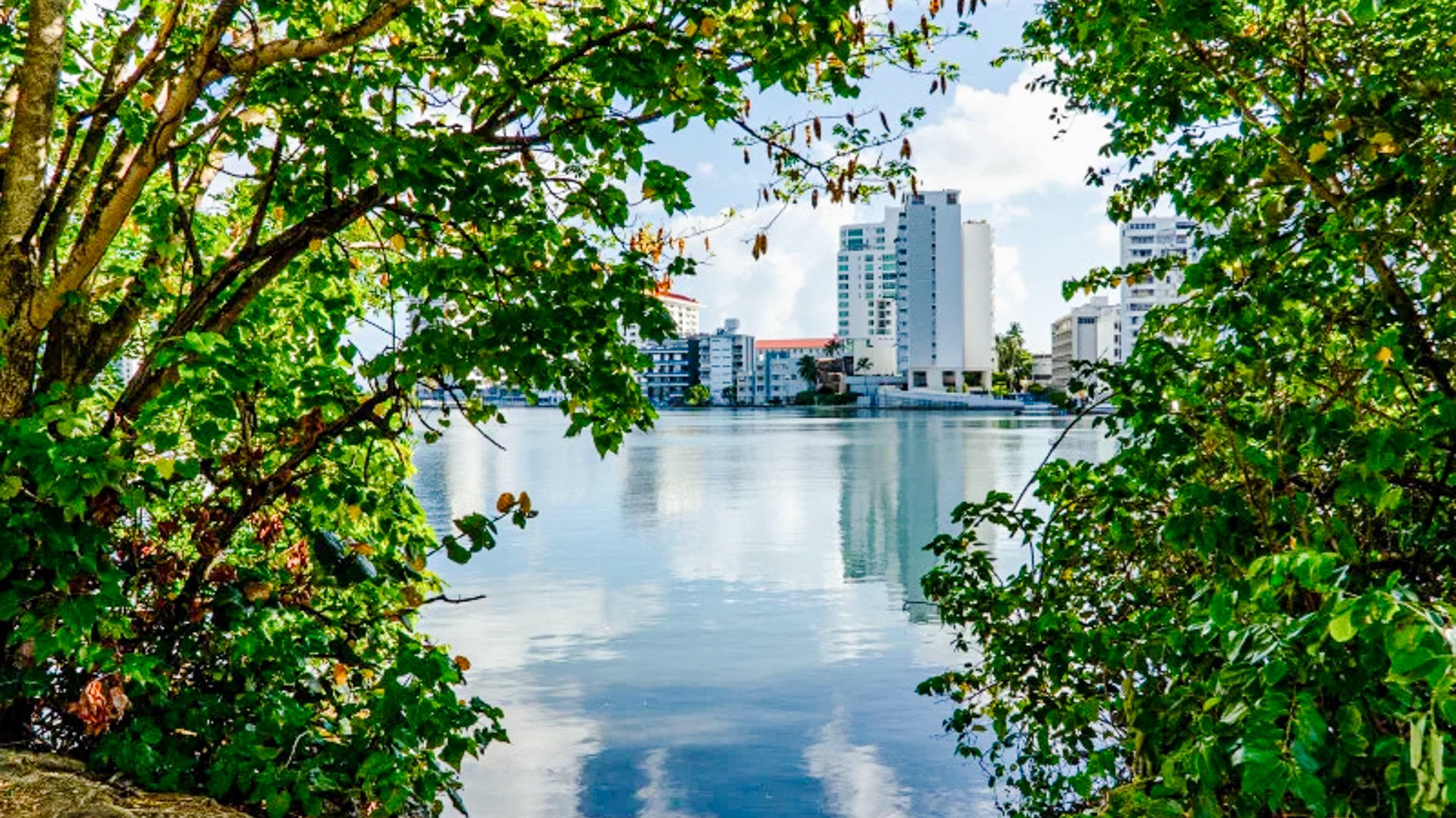 Laguna-del-Condado-San-Juan_v2